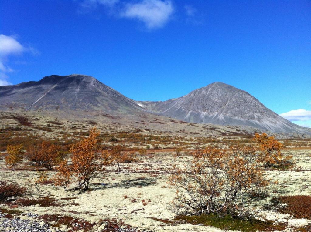 Lokken Fjellgard Villa Folldal Esterno foto