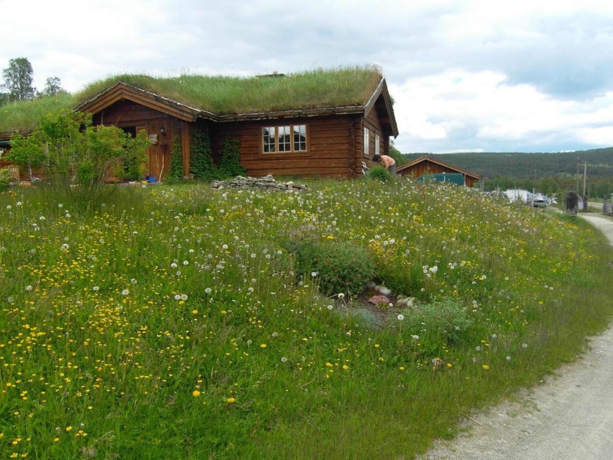 Lokken Fjellgard Villa Folldal Esterno foto