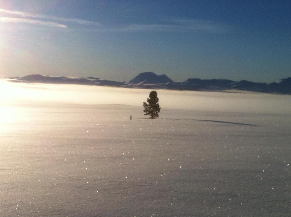 Lokken Fjellgard Villa Folldal Esterno foto